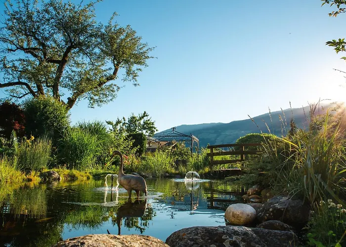 Kohlerhof - 4 Star Wellness & Active Otel 4*
